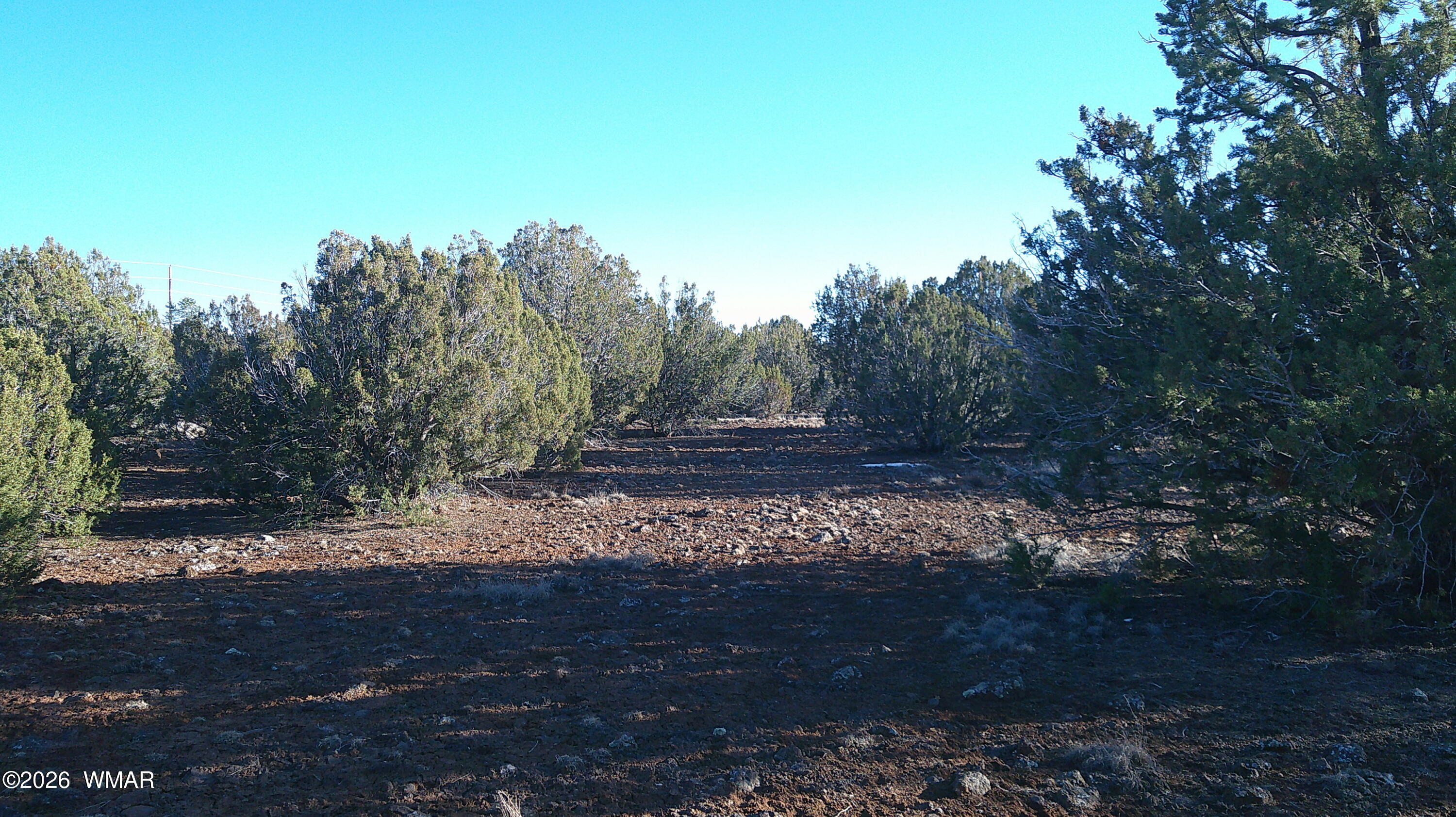 346 Cr Road Concho, AZ 85924 - Photo 13 of 20 DSCF0035