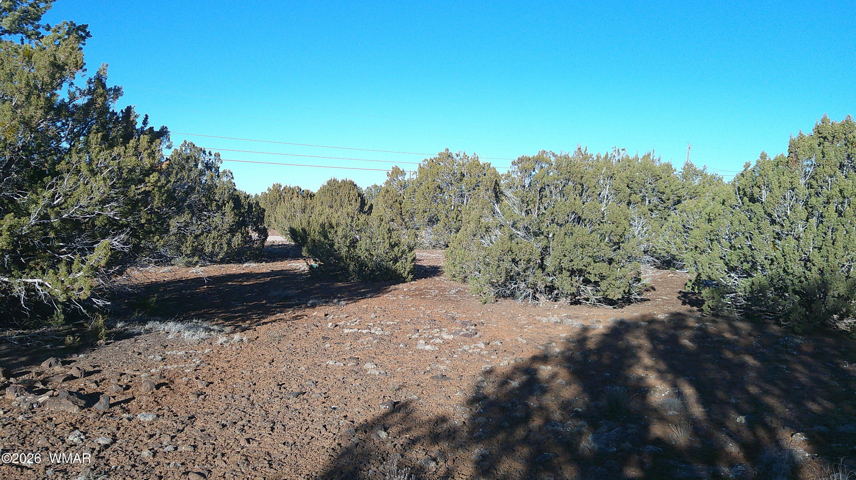 346 Cr Road Concho, AZ 85924 - Photo 14 of 20 DSCF0036