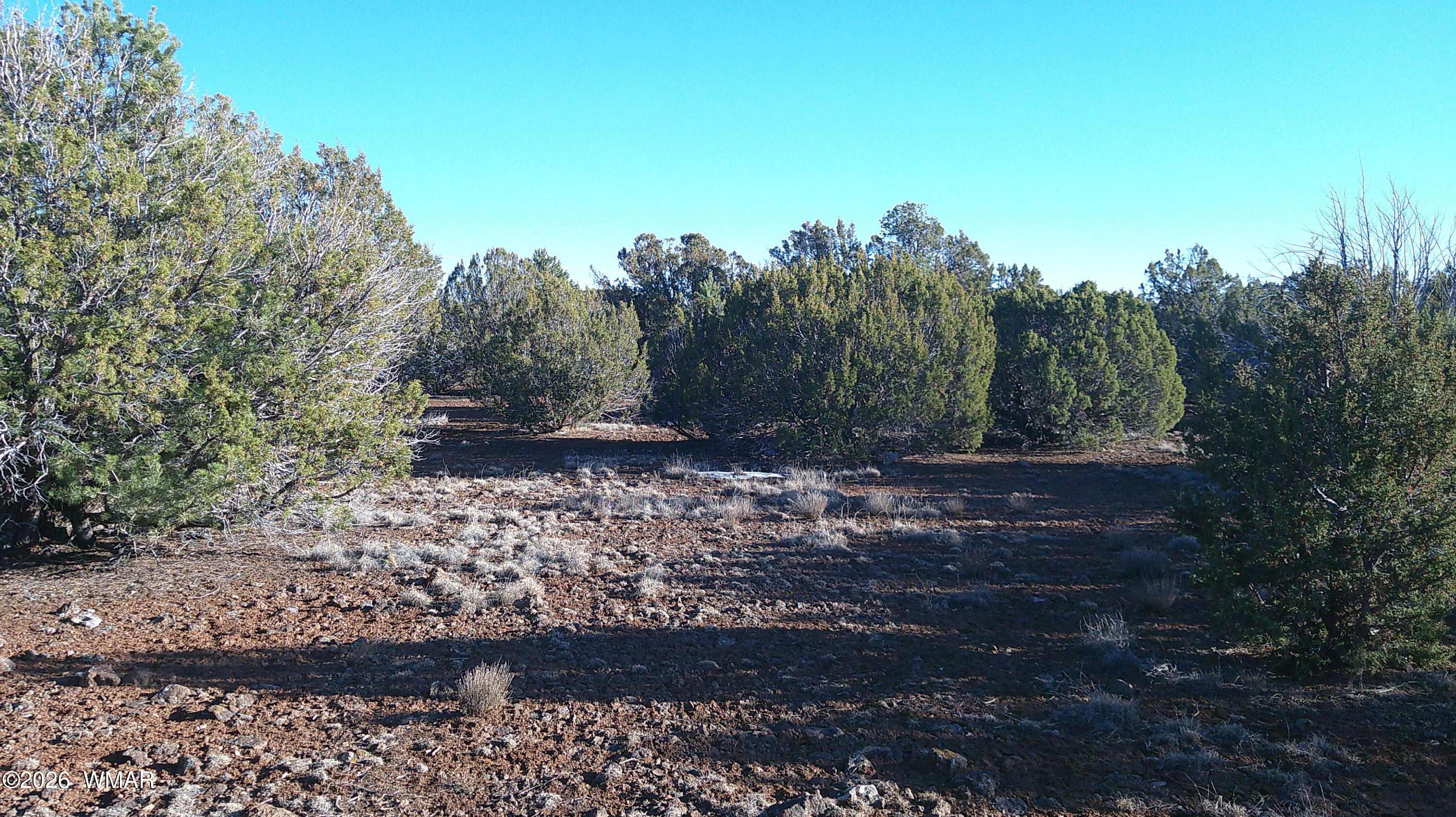 346 Cr Road Concho, AZ 85924 - Photo 15 of 20 DSCF0037