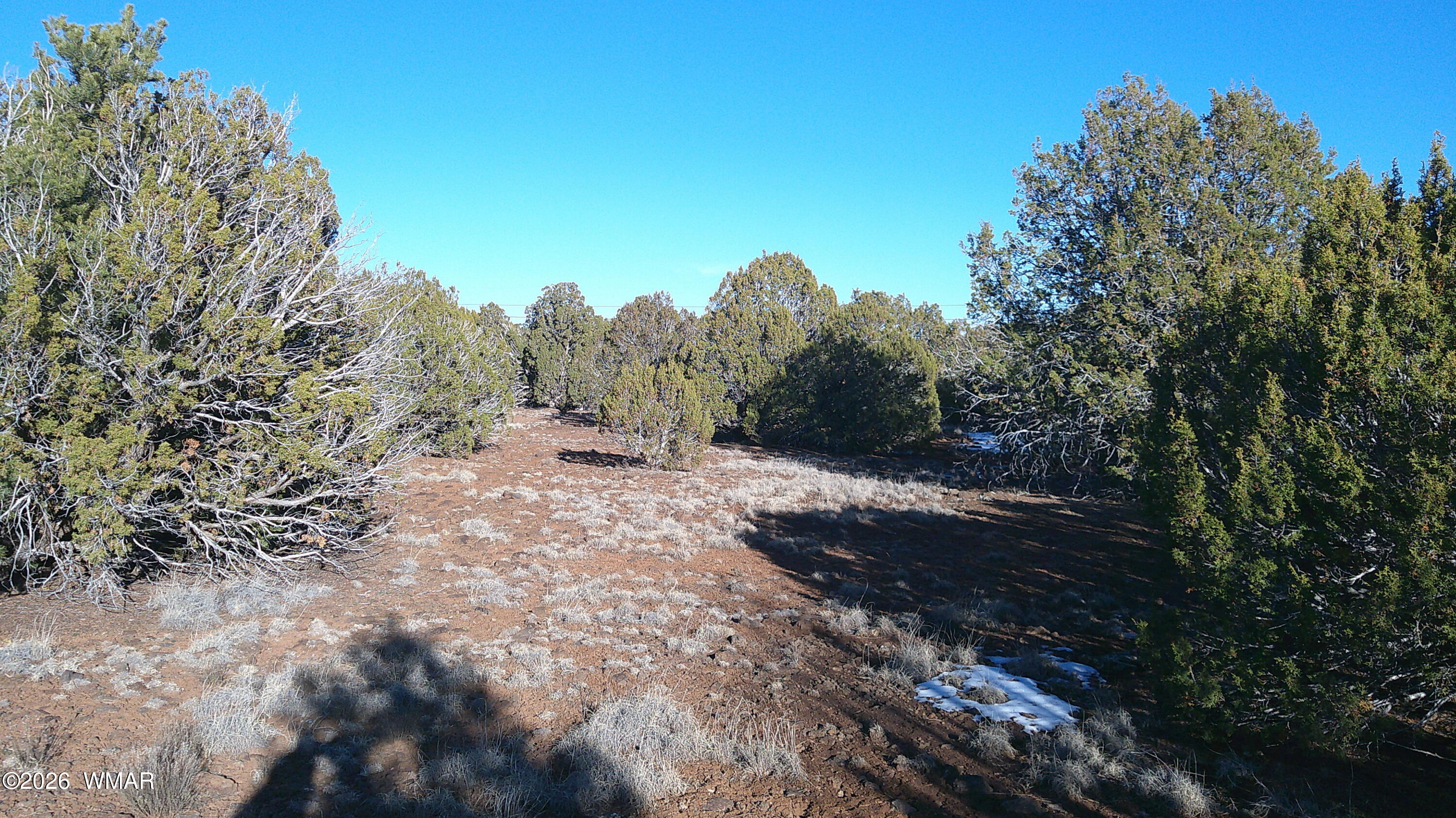 346 Cr Road Concho, AZ 85924 - Photo 16 of 20 DSCF0038