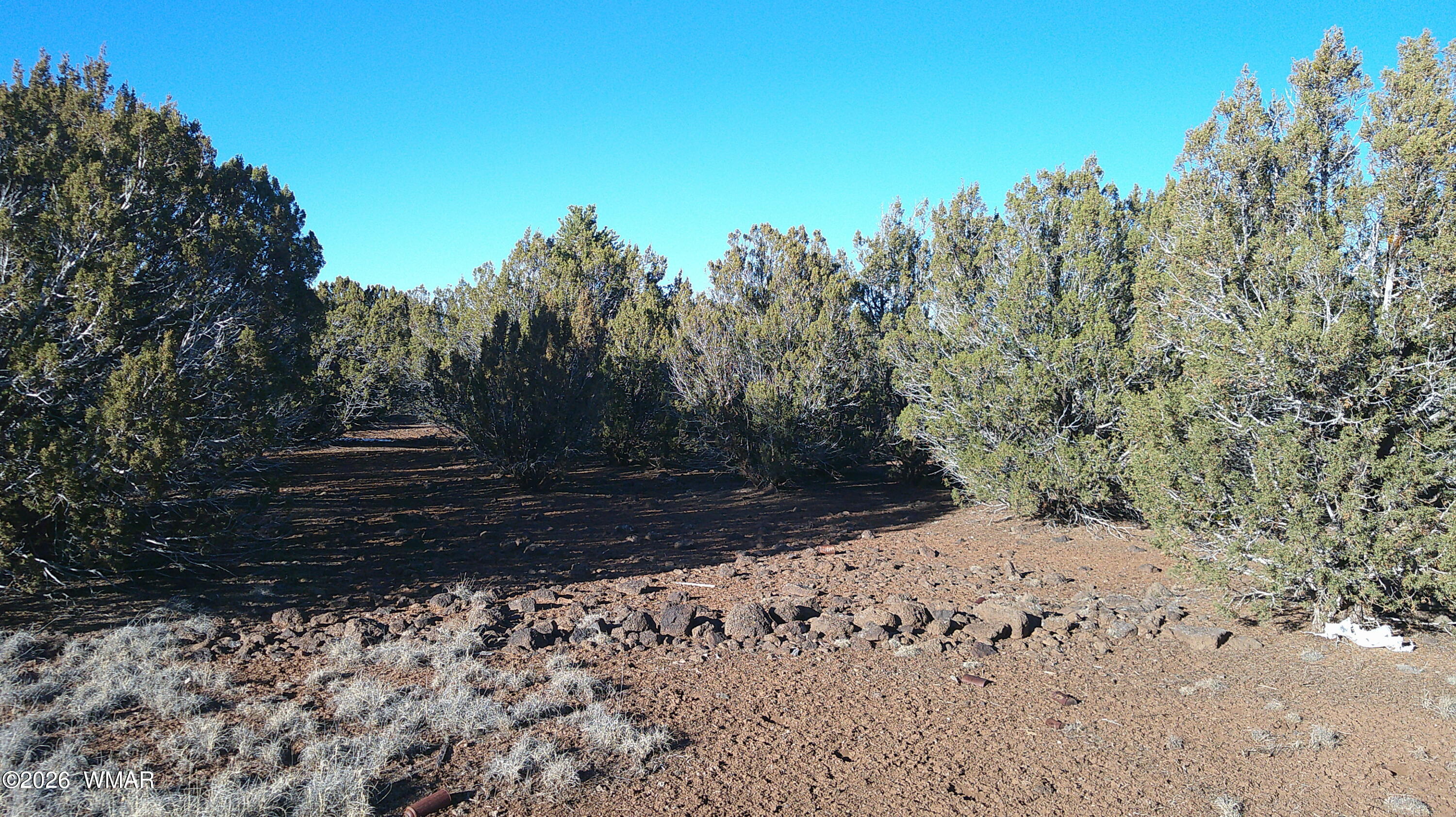 346 Cr Road Concho, AZ 85924 - Photo 17 of 20 DSCF0040
