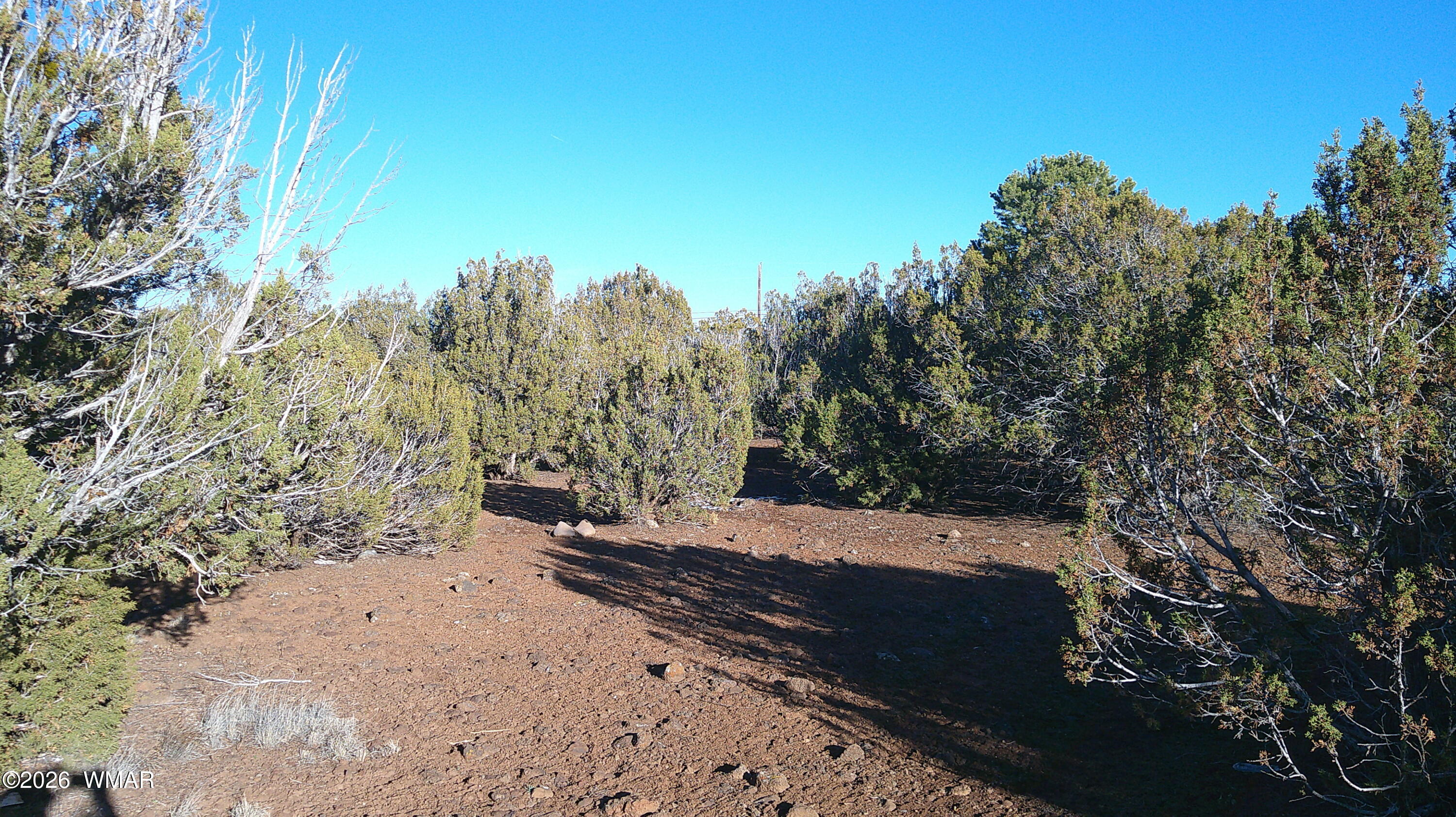 346 Cr Road Concho, AZ 85924 - Photo 18 of 20 DSCF0041