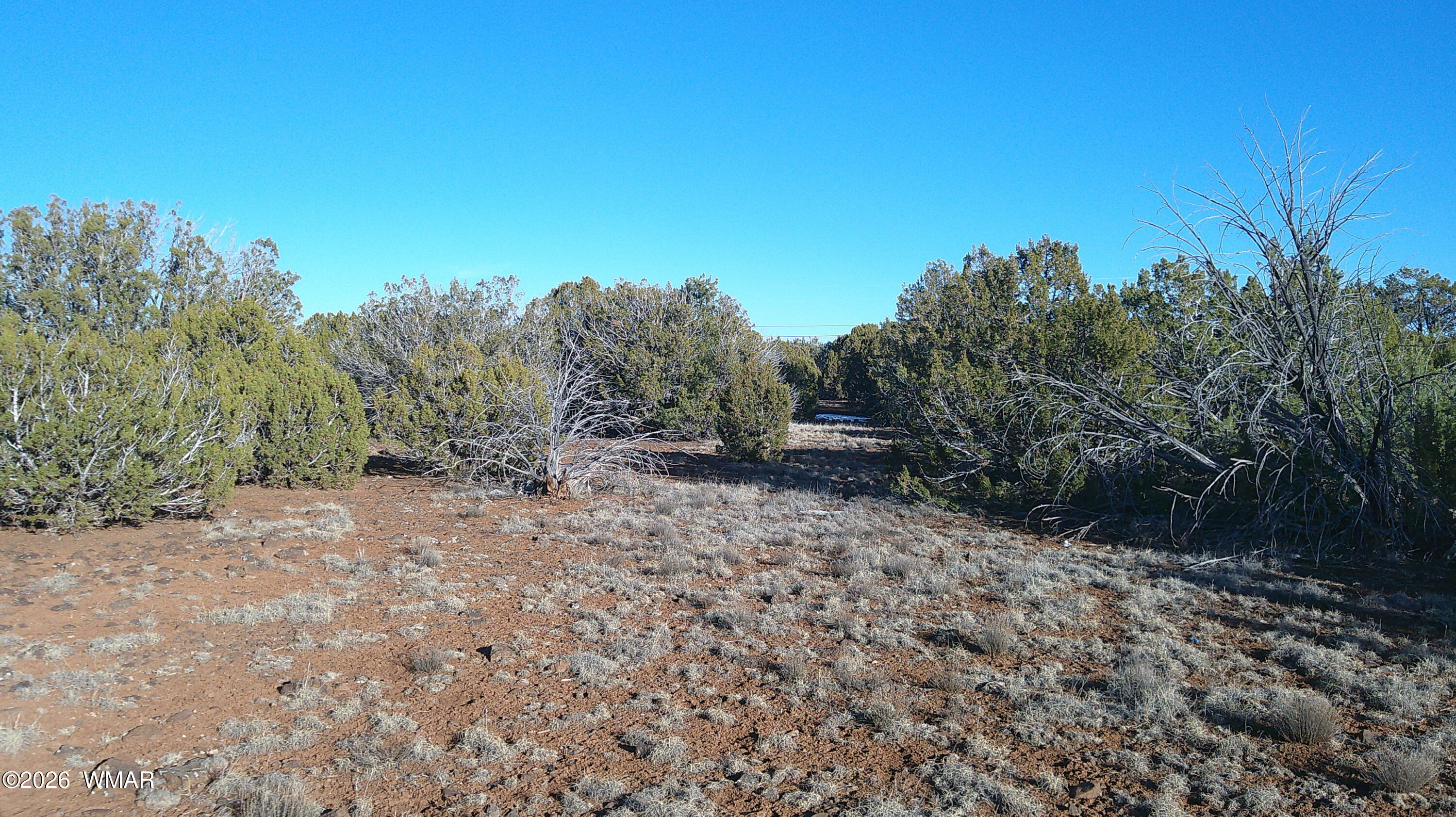 346 Cr Road Concho, AZ 85924 - Photo 19 of 20 DSCF0042
