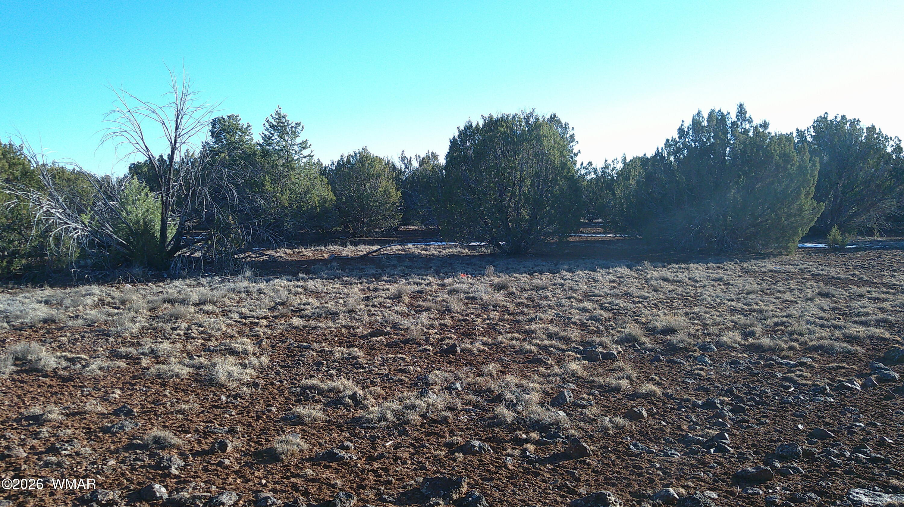 346 Cr Road Concho, AZ 85924 - Photo 20 of 20 DSCF0043