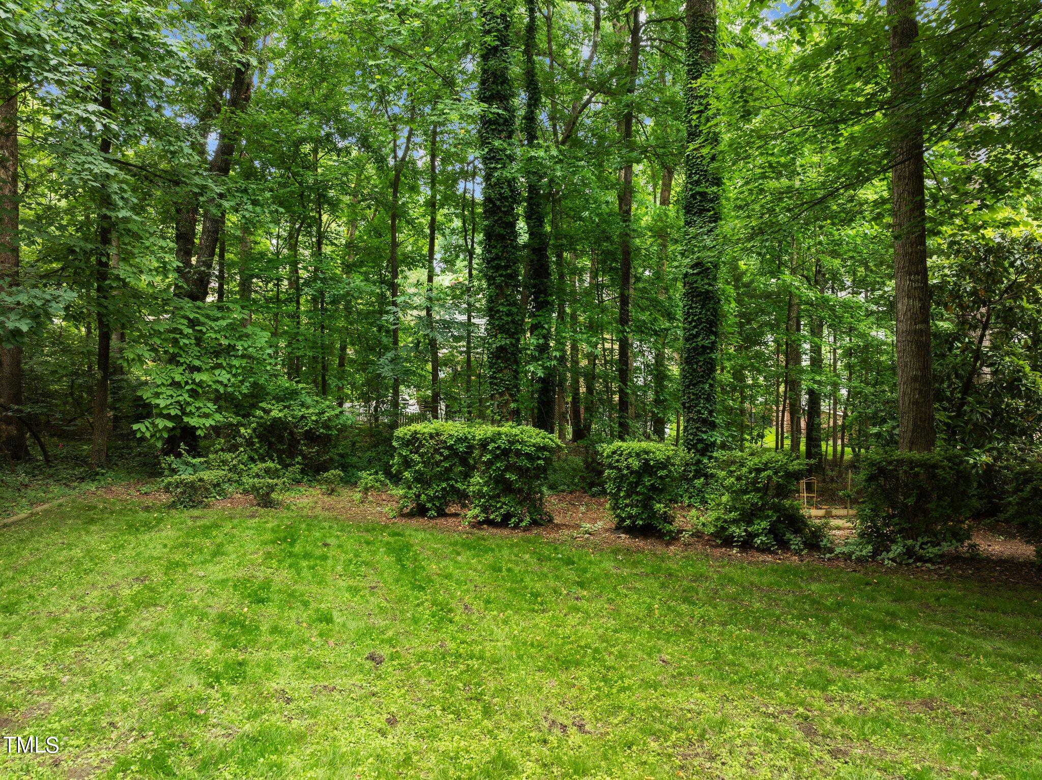 8116 Coleraine Court Raleigh, NC 27615 - Photo 31 of 58 32-web-or-mls-DJI_0427