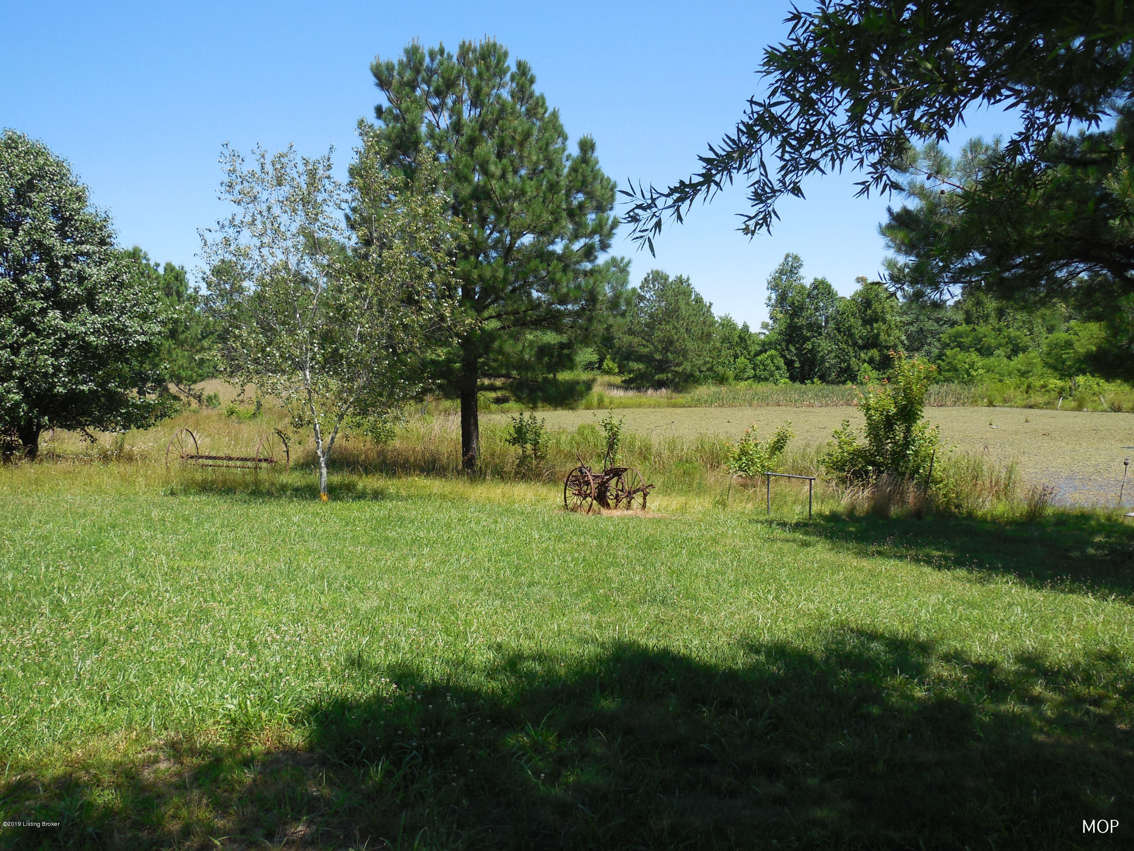 5498 Reese Hurt Road Breeding, KY 42715 - Photo 36 of 41 Tract 5.1