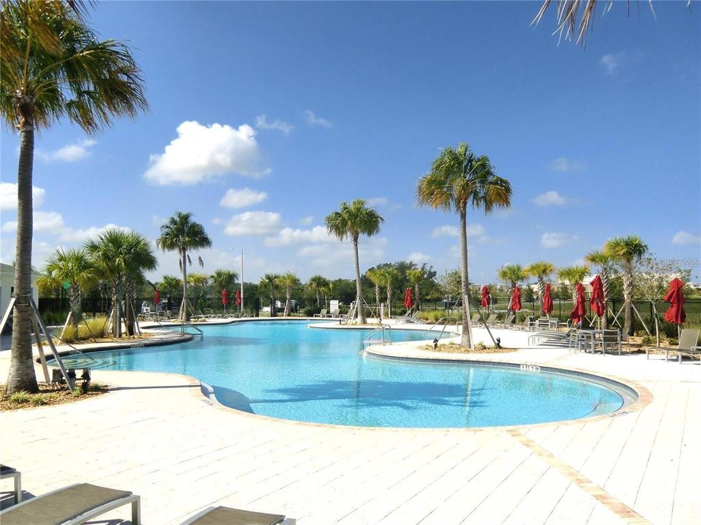 15609 Water Spring Boulevard Winter Garden, FL 34787 - Photo 32 of 36 a view of a swimming pool with a lawn chairs under an umbrella