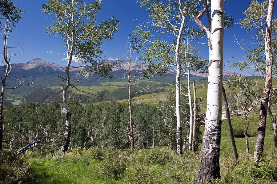 312 Basque Telluride, CO 81435 - Photo 1 of 14 Lot 125