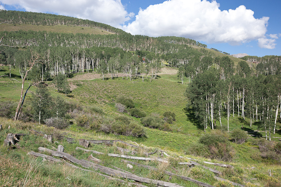 312 Basque Telluride, CO 81435 - Photo 5 of 14 Lot 125