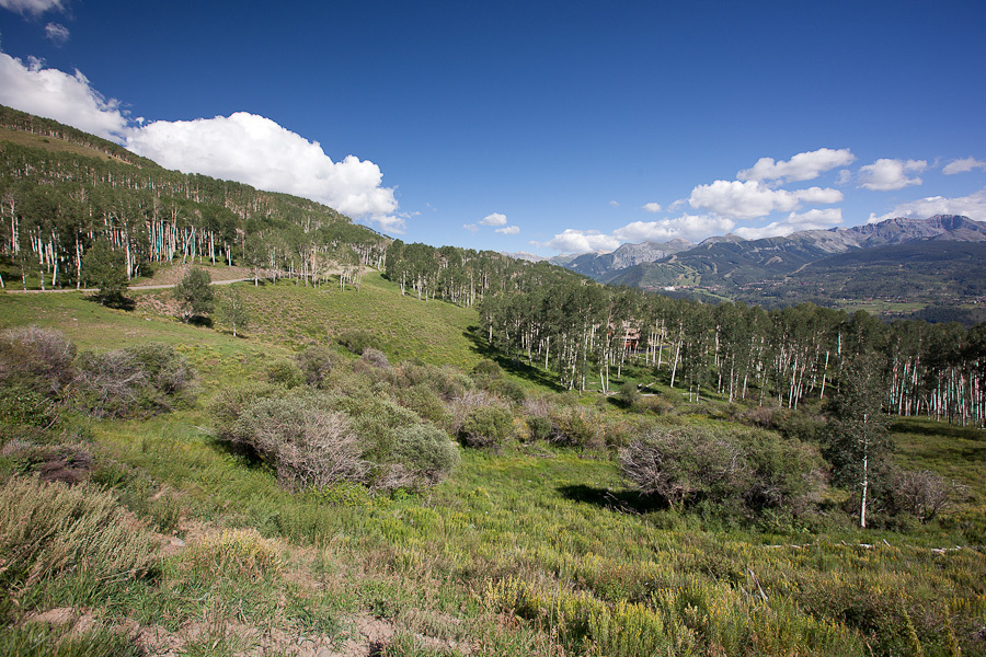 312 Basque Telluride, CO 81435 - Photo 6 of 14 Lot 125