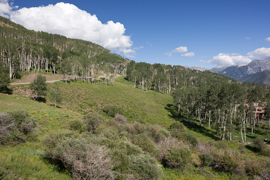 312 Basque Telluride, CO 81435 - Photo 7 of 14 Lot 125