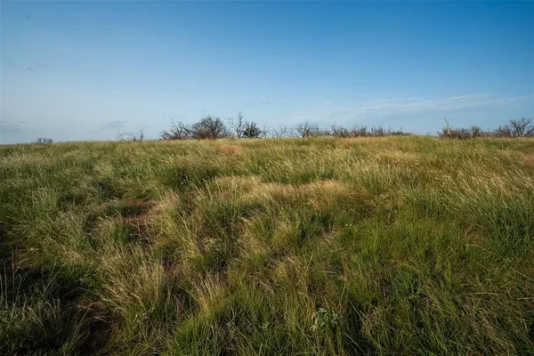 a view of a field with an ocean