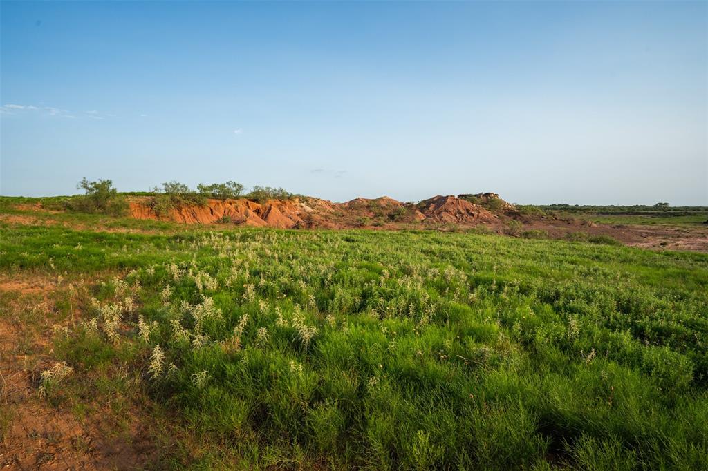 1543 Highway 258 Wichita Falls, TX 76310 - Photo 29 of 40 a view of a lush green field with a mountain in the background