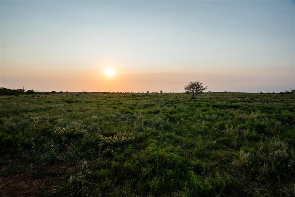 1543 Highway 258 Wichita Falls, TX 76310 - Photo 36 of 40 a view of a green field