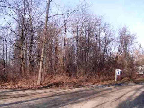 Carter Road Trenton, MI 48183 - Photo 2 of 2 906660-1.JPG
