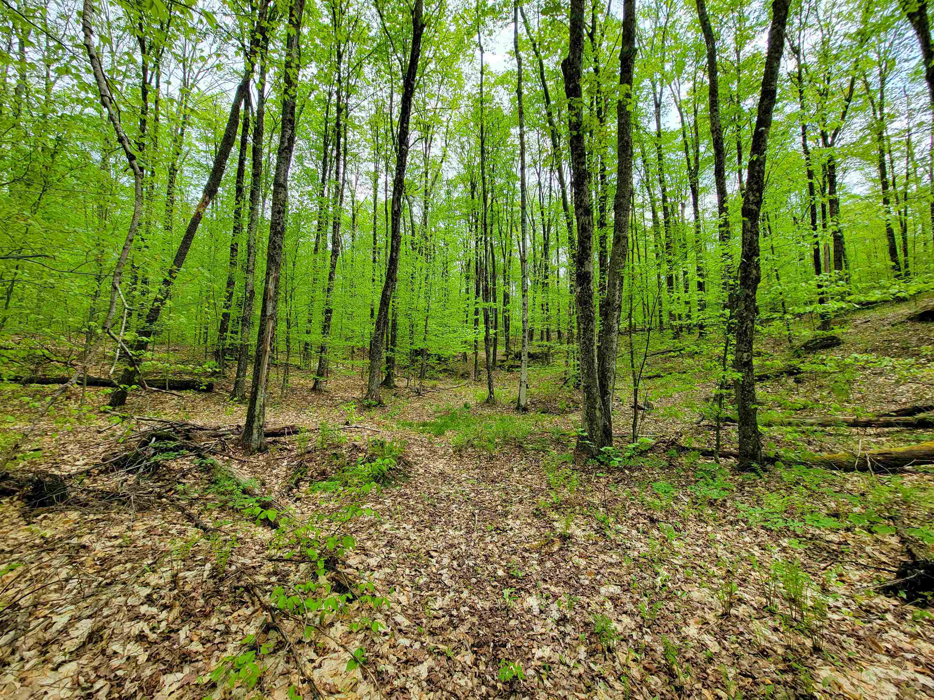 660 Brookview Lane Wolcott, VT 05680 - Photo 48 of 60