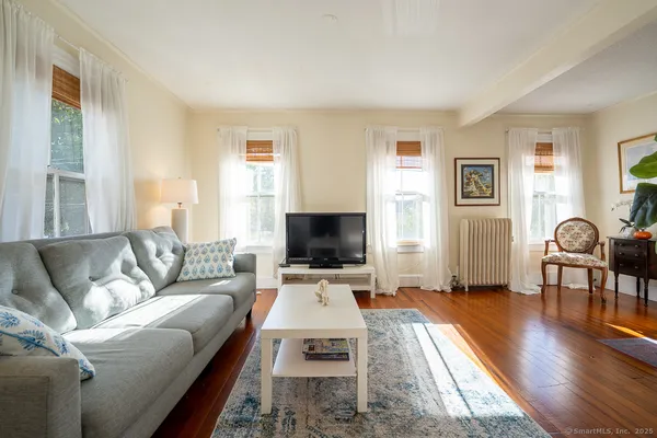 a living room with furniture and a potted plant