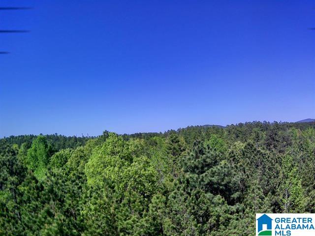 Shore Side Lane, Unit 202 Sylacauga, AL 35151 - Photo 2 of 3