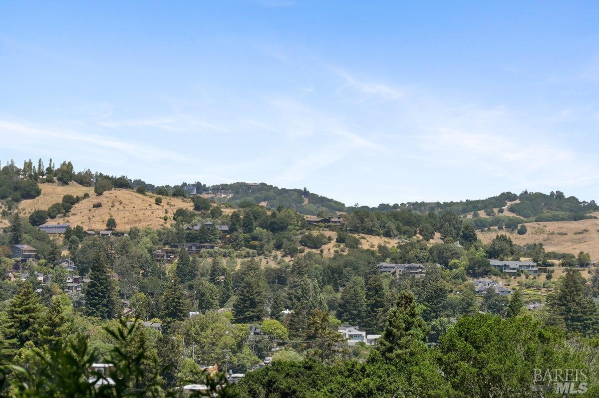 216 Reed Street Mill Valley, CA 94941 - Photo 17 of 17 an aerial view of mountain with trees around