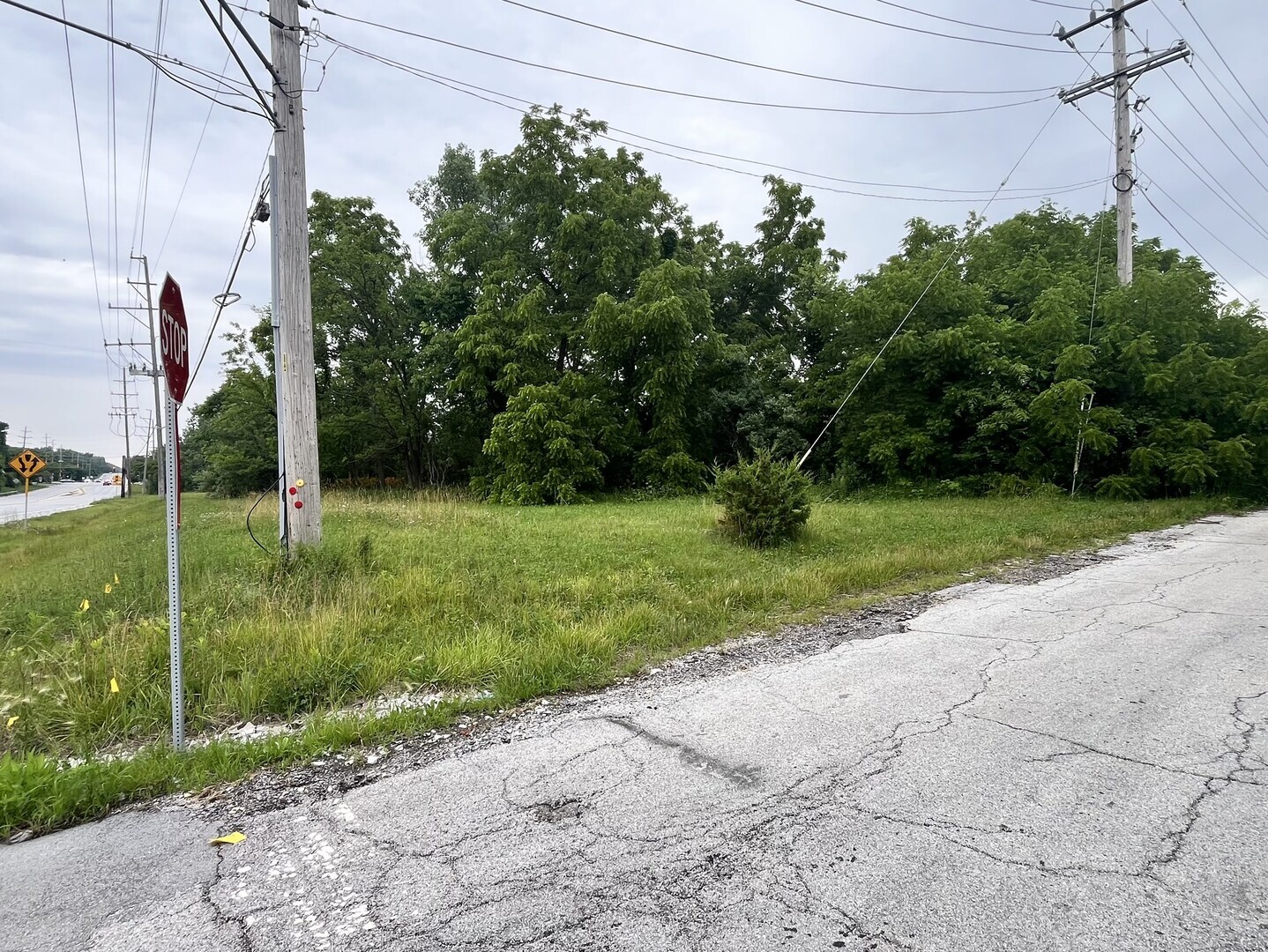 Vacant Western Avenue Crete, IL 60417 - Photo 2 of 4
