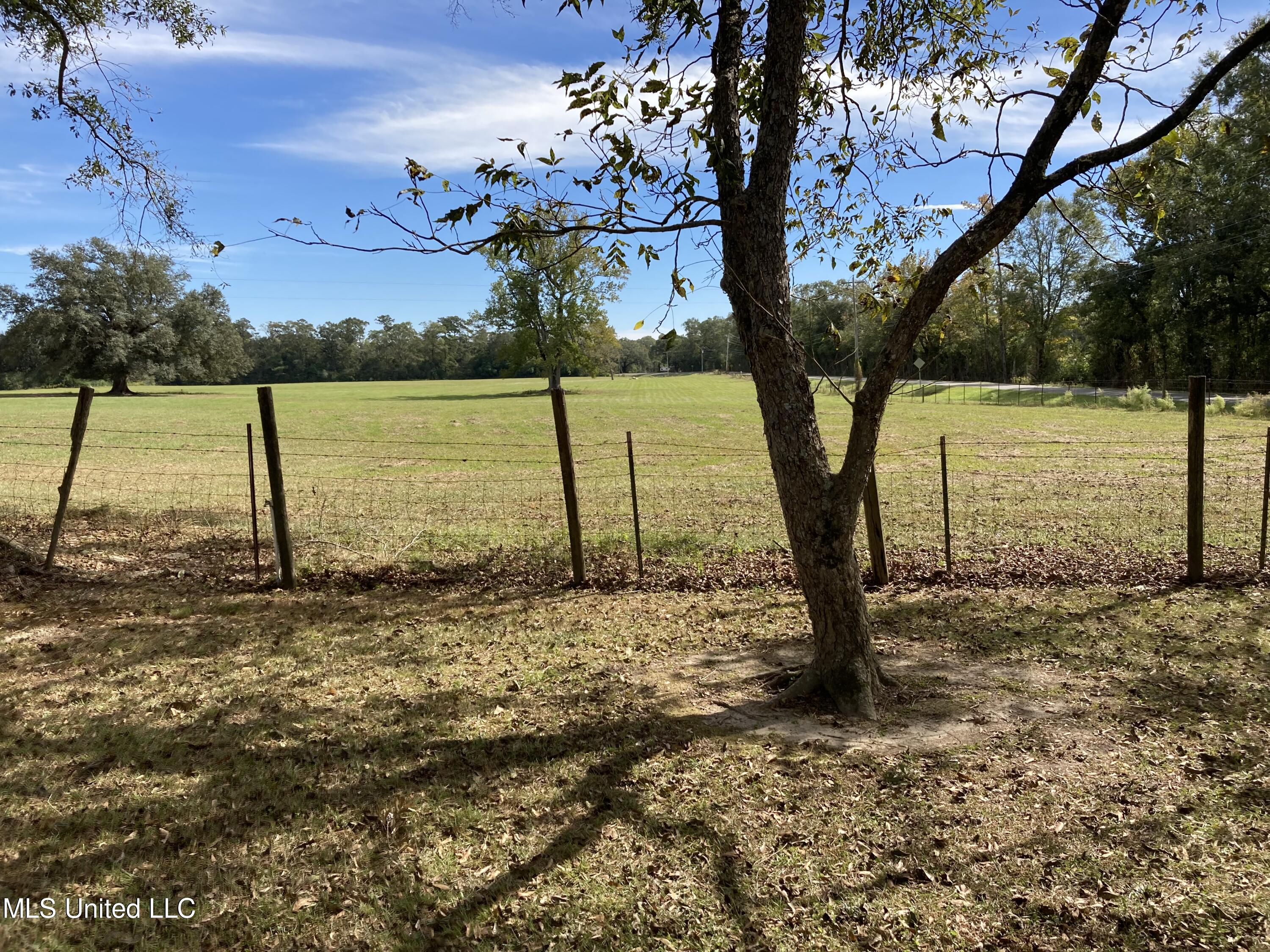 2568 Burnt Bridge Road Picayune, MS 39466 - Photo 3 of 36 3(southeast pastures)