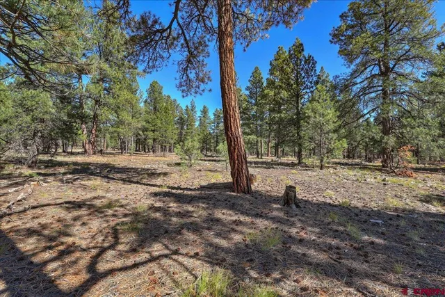a view of outdoor space with trees