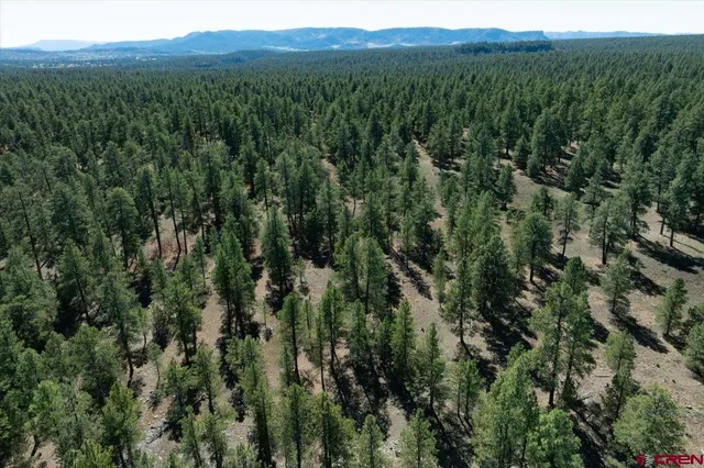 a view of a city with mountains in the background