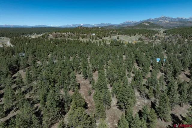 a view of a lush green forest with trees and some houses