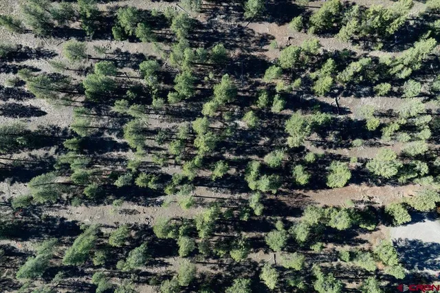 an aerial view of residential house with outdoor space and trees