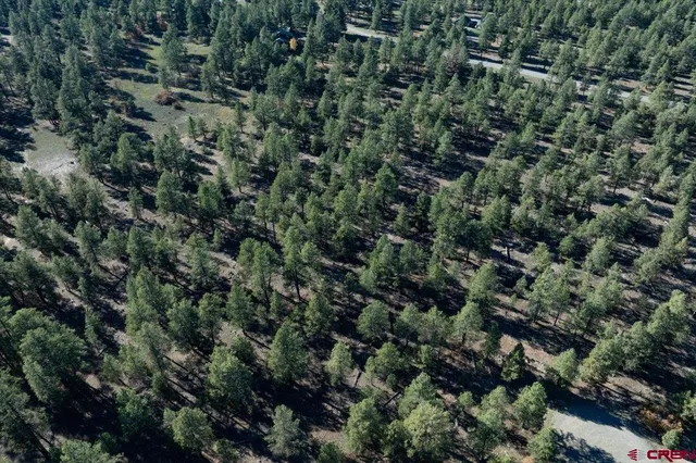 an outdoor view of a house with a tree