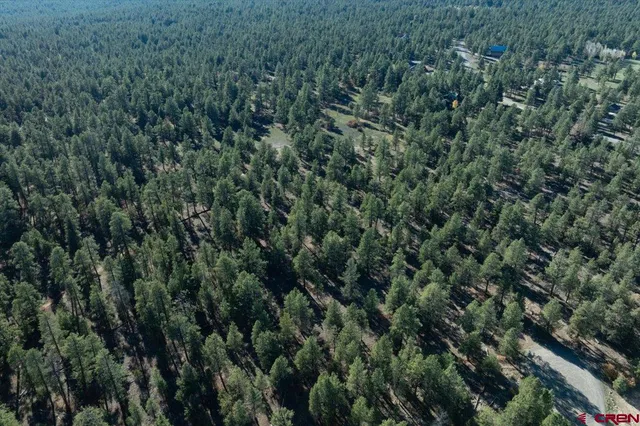 a view of a lush green forest with trees and some houses