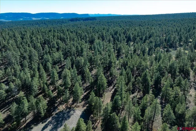 $275,000 | 168 Monterosa Court, Pagosa Springs, CO 81147