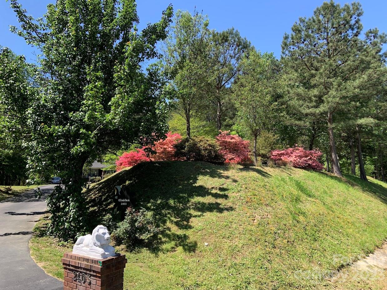 2403 Pinckney Road Chester, SC 29706 - Photo 2 of 19 a backyard of a house with lots of green space
