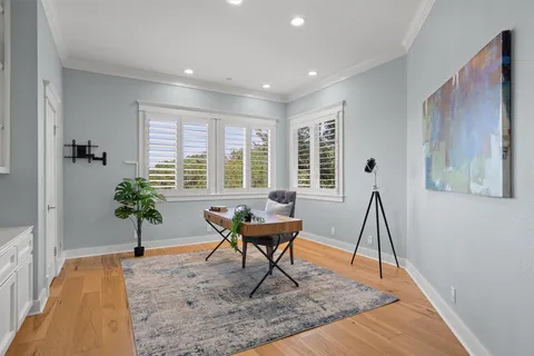 a living room with furniture and a potted plant
