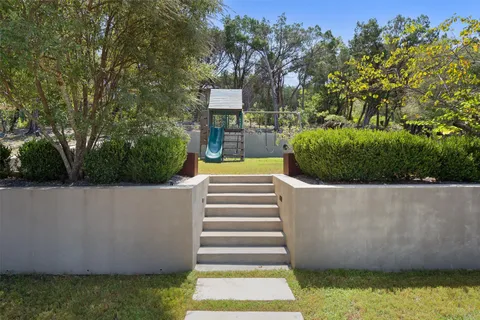 a view of a yard with potted plants and large tree