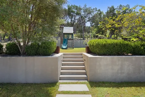 a view of a yard with potted plants and large tree