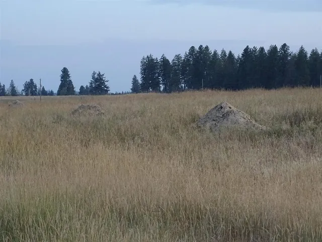 $150,000 | 24-xxx North 24-xxx N Orchard Road, Chattaroy, WA 99003