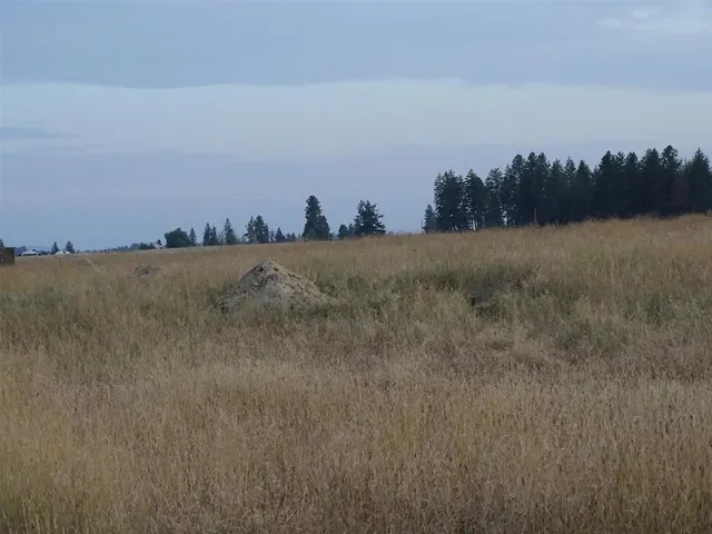 $150,000 | 24-xxx North 24-xxx N Orchard Road, Chattaroy, WA 99003