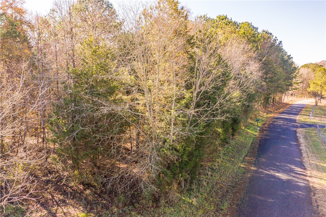 10 Grant Road Pelzer, SC 29669 - Photo 3 of 24