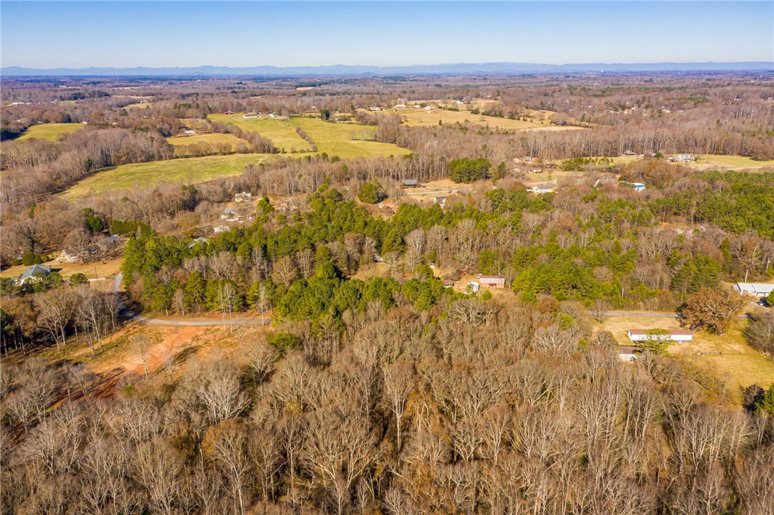 10 Grant Road Pelzer, SC 29669 - Photo 8 of 24