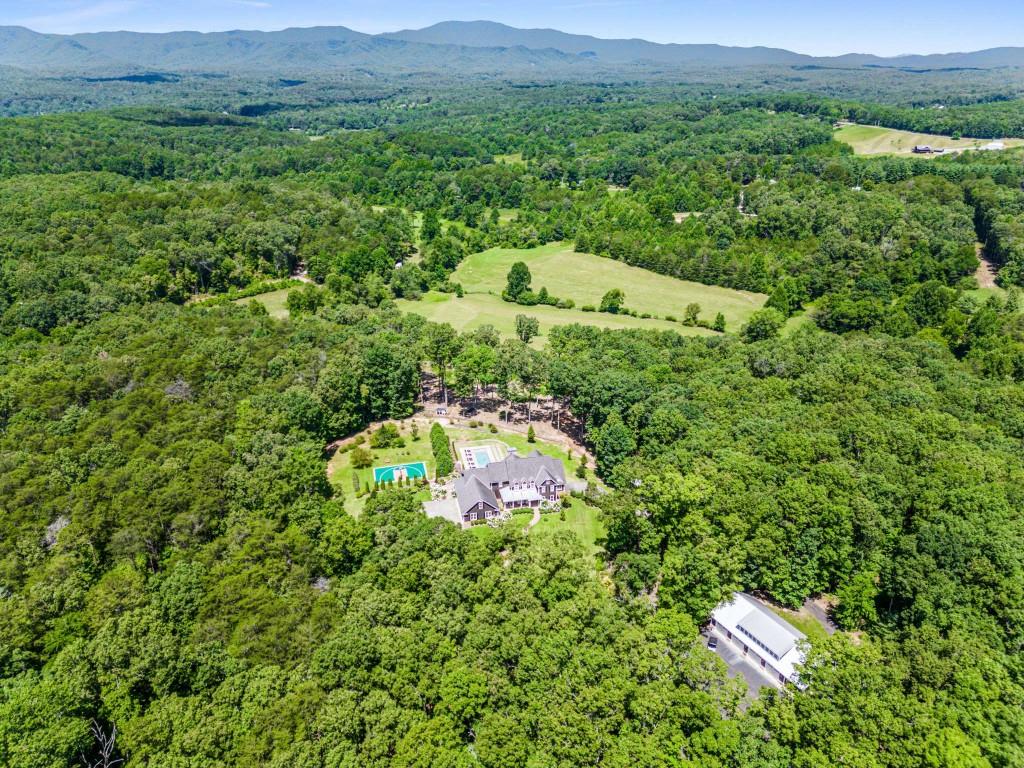 254 Nicholson Road Blue Ridge, GA 30513 - Photo 3 of 86