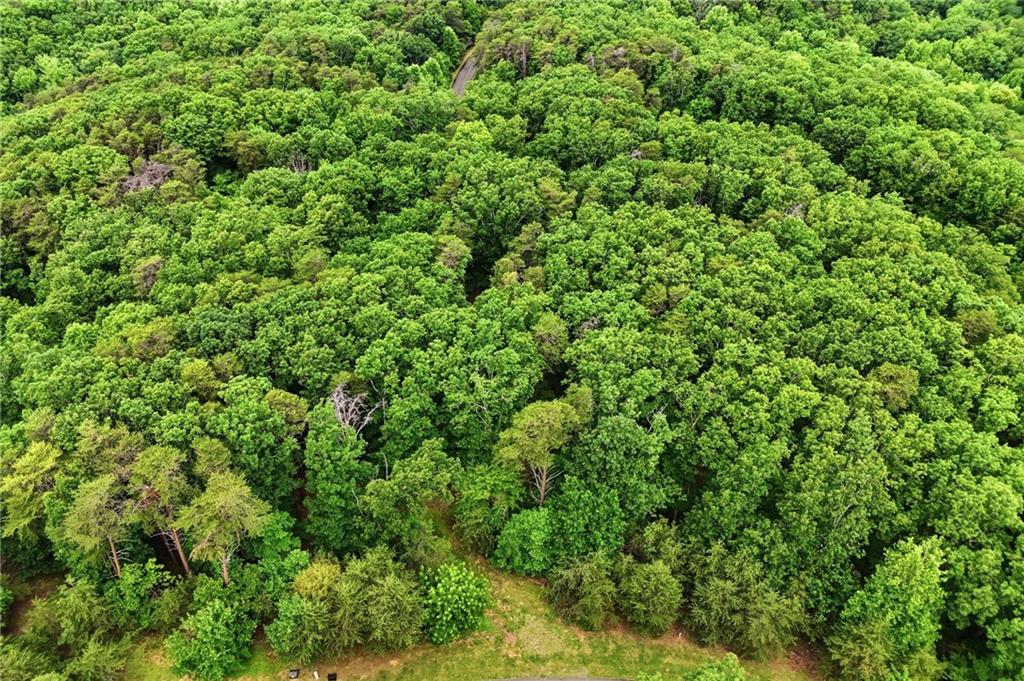 0 Owl Ridge Way Jasper, GA 30143 - Photo 22 of 22 a view of a lush green forest