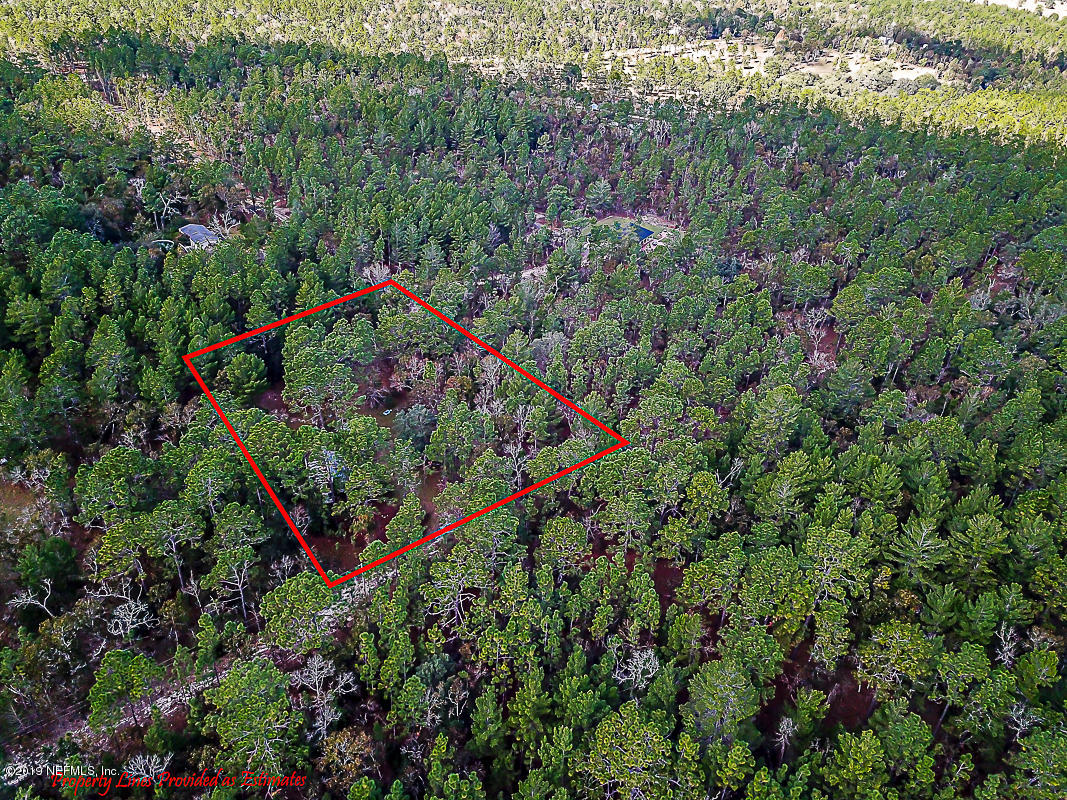7966 Ranchette Road Melrose, FL 32666 - Photo 2 of 7 an aerial view of residential house with an outdoor space and trees all around