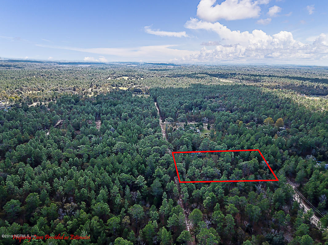 7966 Ranchette Road Melrose, FL 32666 - Photo 6 of 7 a view of a bunch of flower and trees