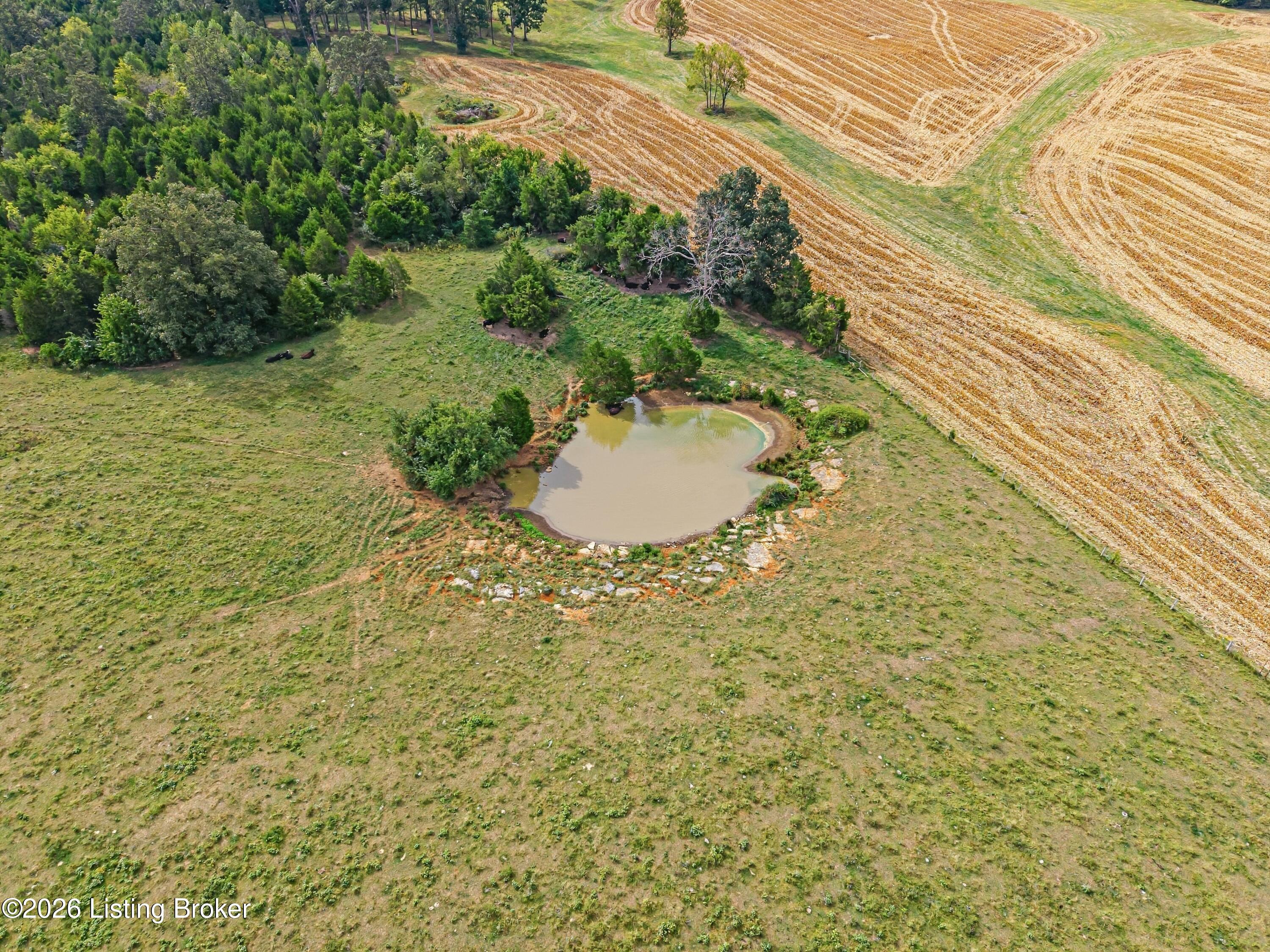 0 Payneville Road Brandenburg, KY 40108 - Photo 6 of 27 07_DJI_20260921232625_0582_D