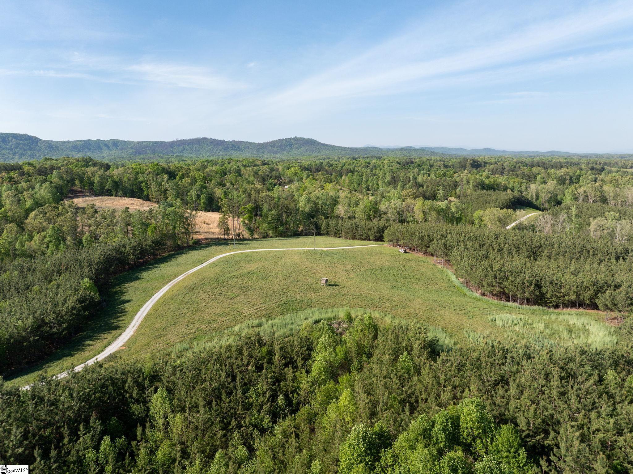 1254 Stribling Shoals Road Walhalla, SC 29691 - Photo 13 of 36