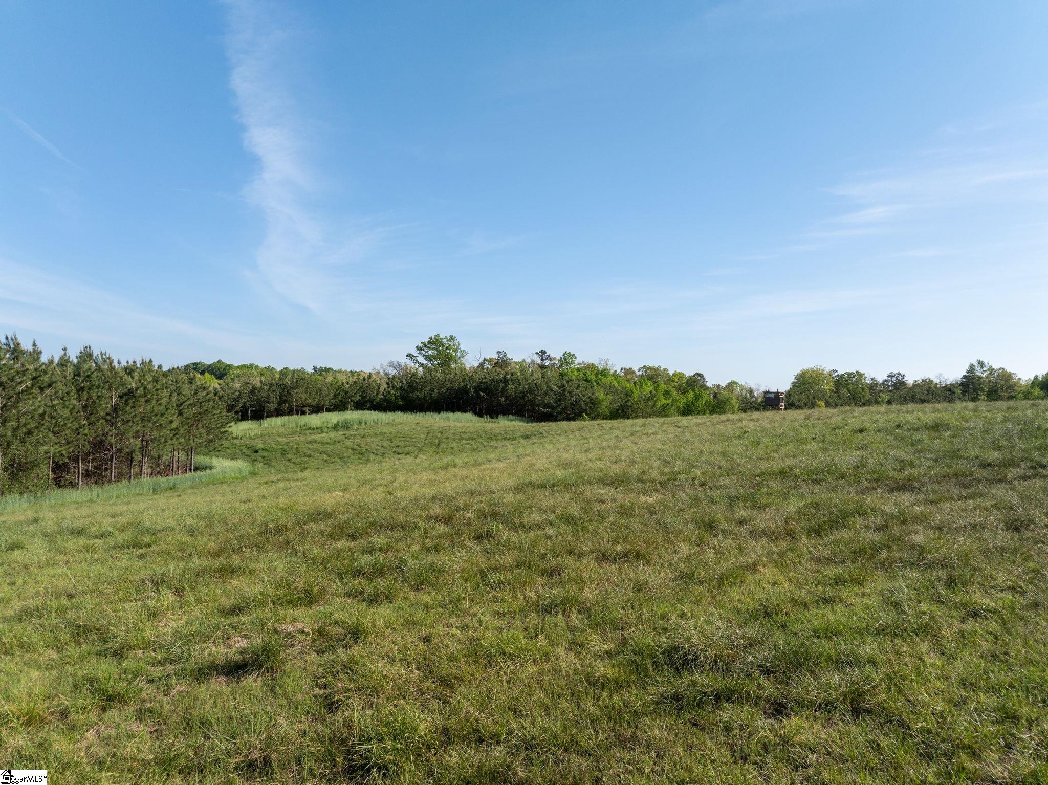 1254 Stribling Shoals Road Walhalla, SC 29691 - Photo 15 of 36