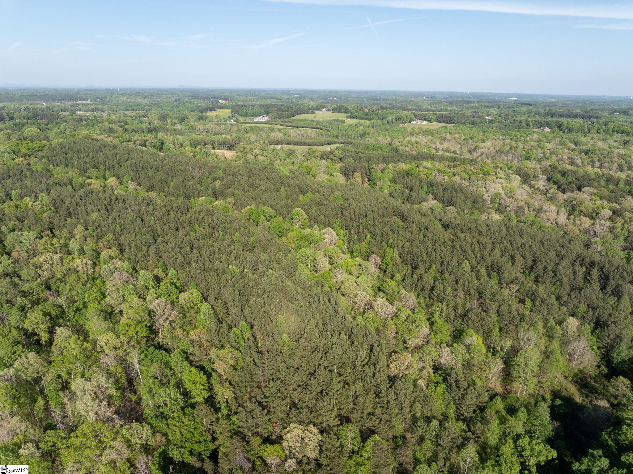 1254 Stribling Shoals Road Walhalla, SC 29691 - Photo 17 of 36