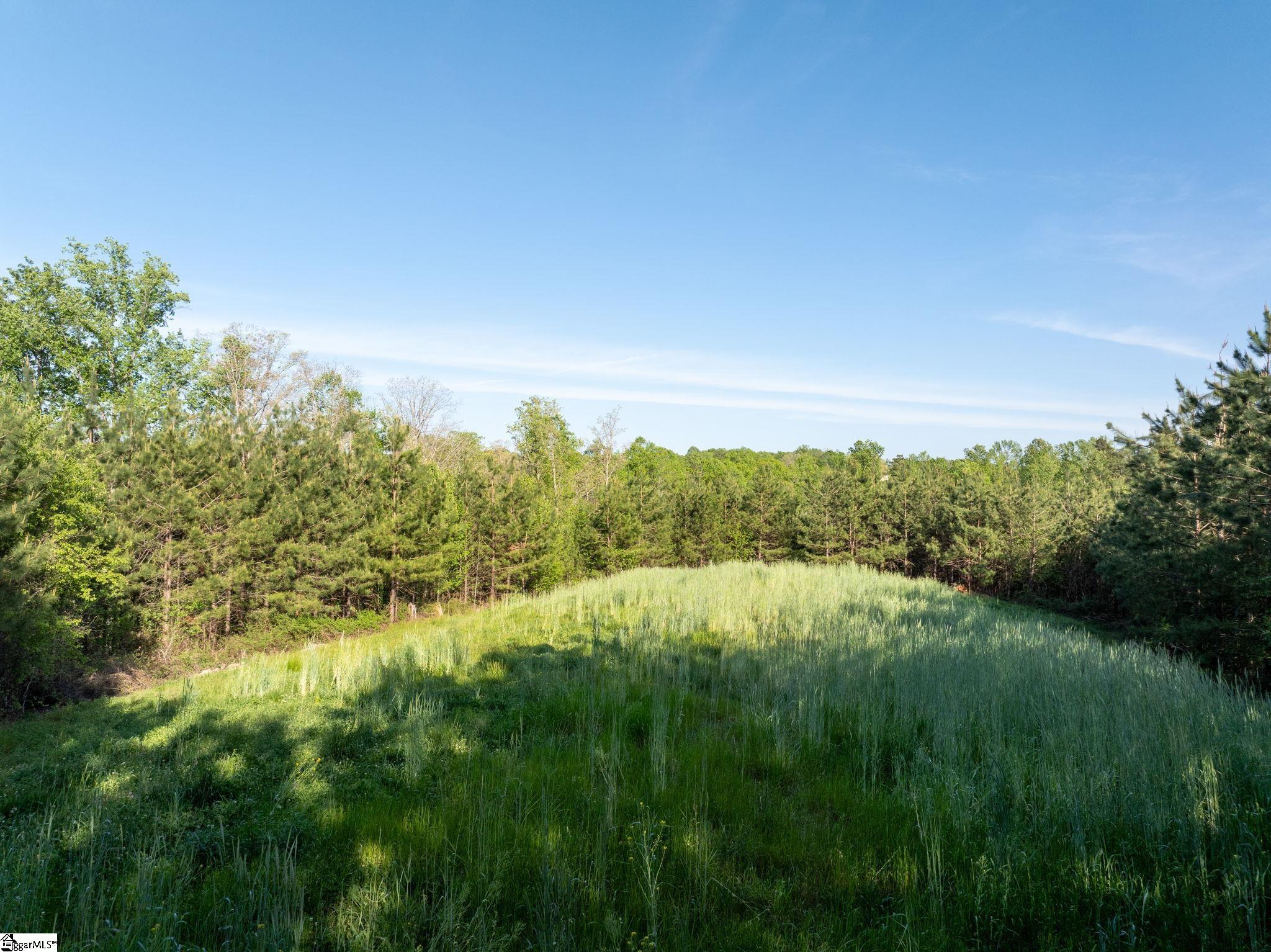 1254 Stribling Shoals Road Walhalla, SC 29691 - Photo 20 of 36