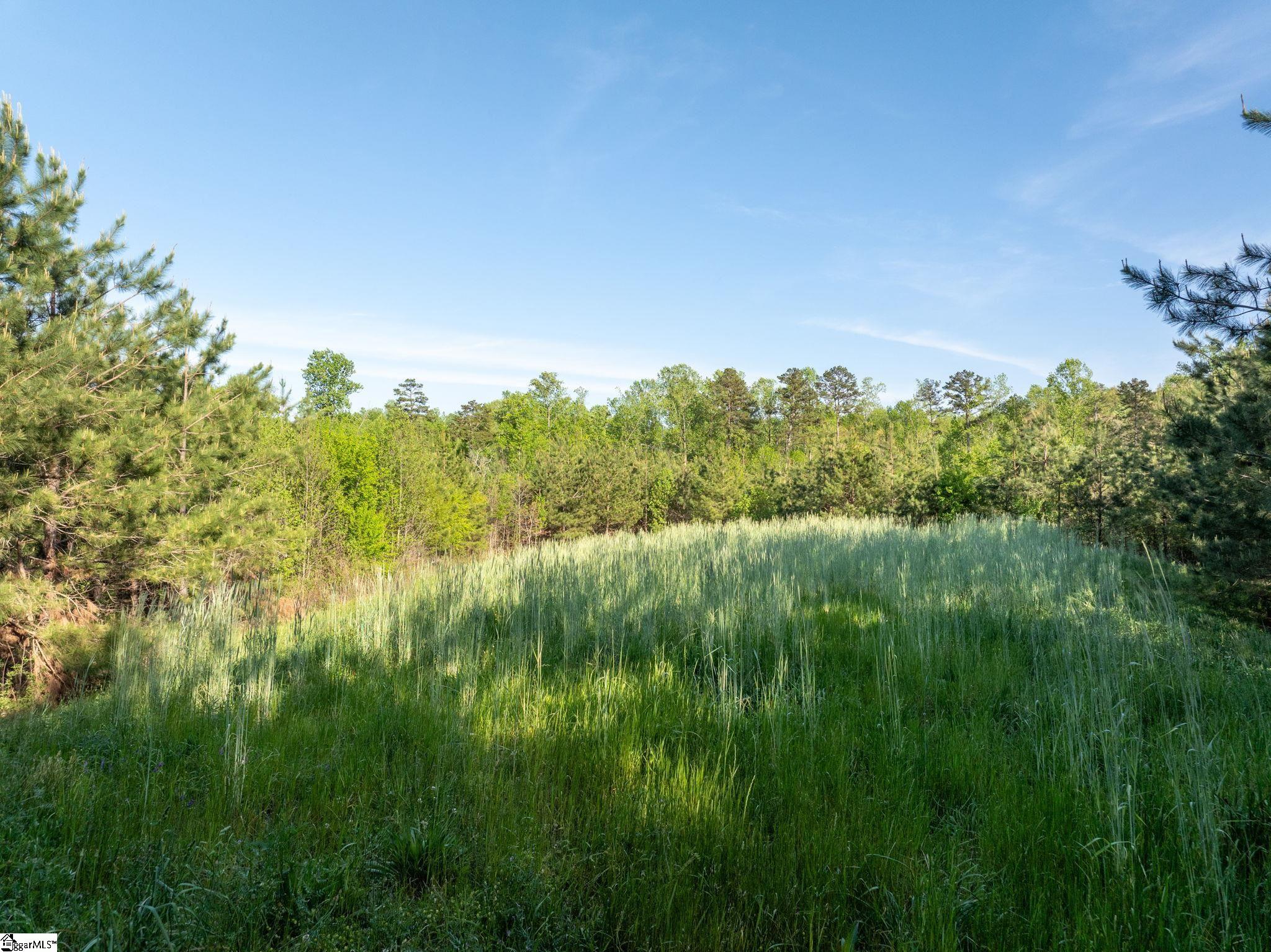 1254 Stribling Shoals Road Walhalla, SC 29691 - Photo 21 of 36